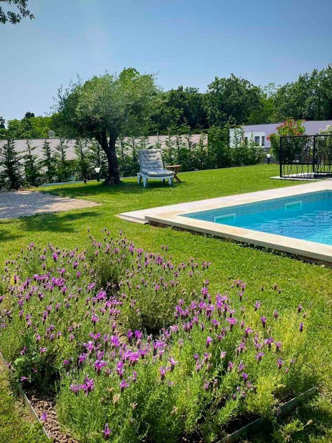 Villa Destiny Nedescina, Istrien, Kroatien Eksteriør billede